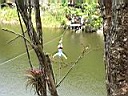 Mexico2005 131.jpg
